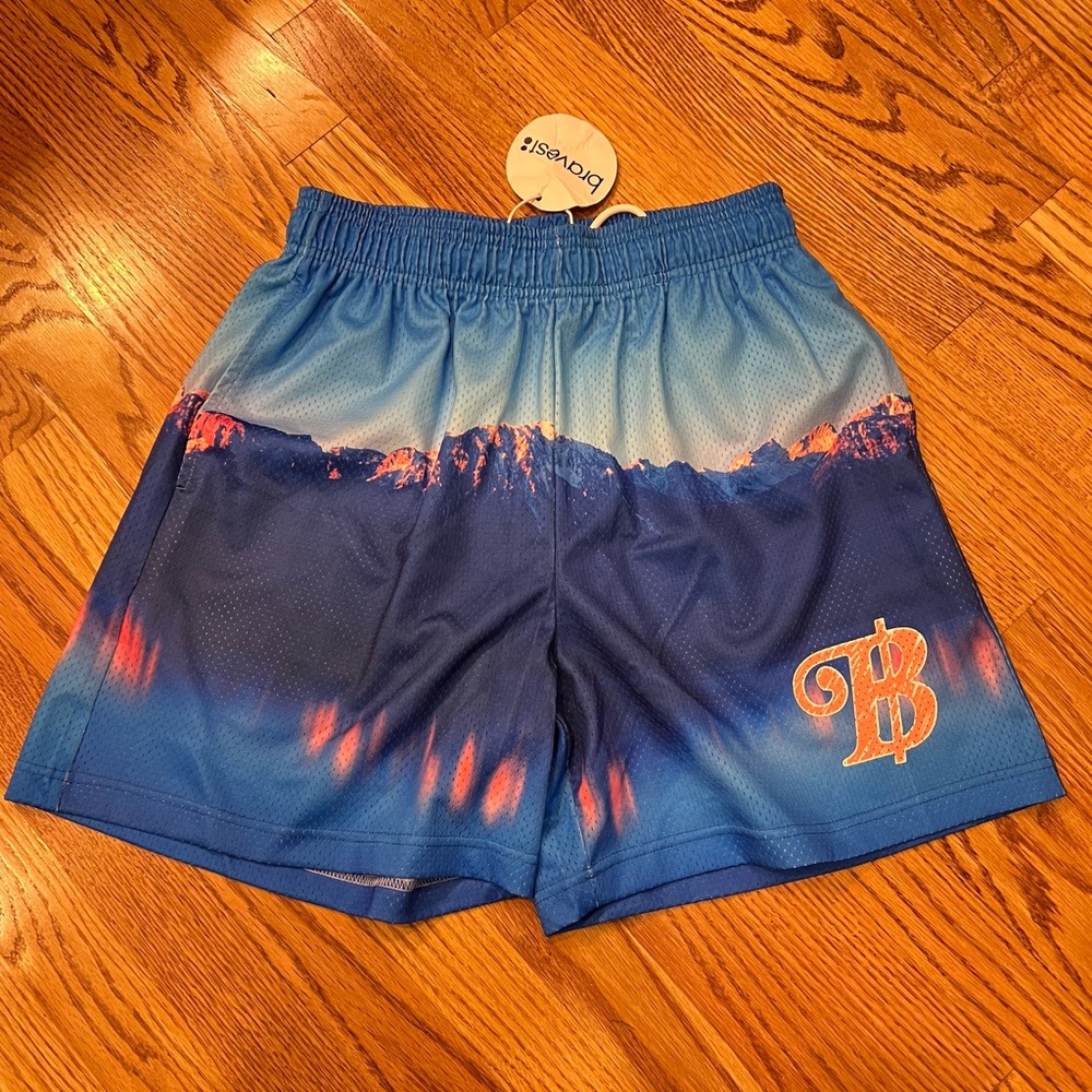 NWT Bravest Studios Geneva Shorts Mountain Landscape Blue Mens Shorts Streetwear